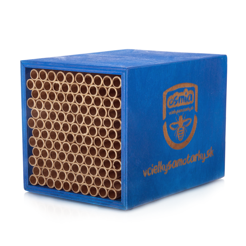 Bee home S Clasic NPT