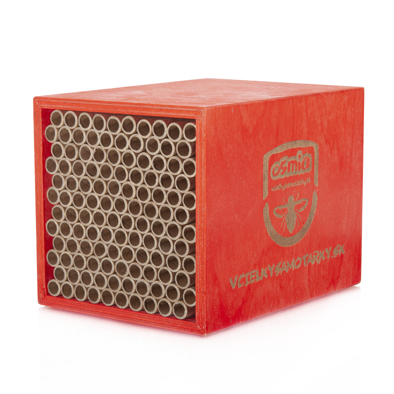 Bee home S Clasic NPT