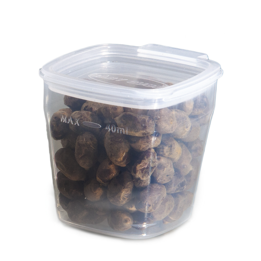Hybernation container