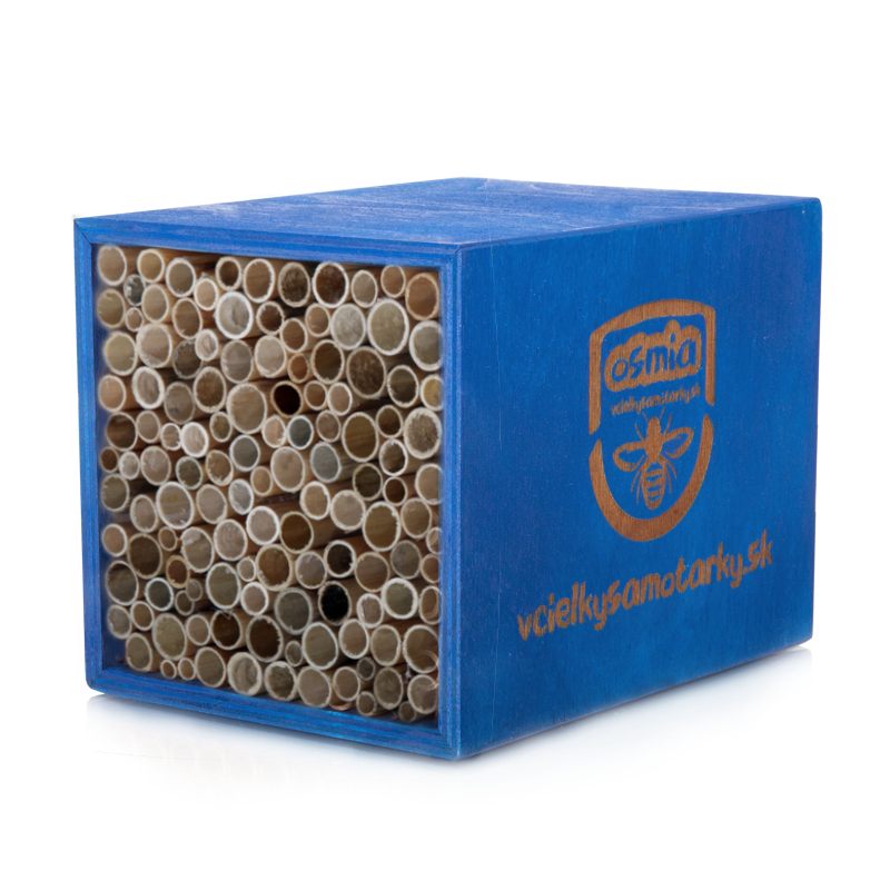 Bee home S Clasic NRT