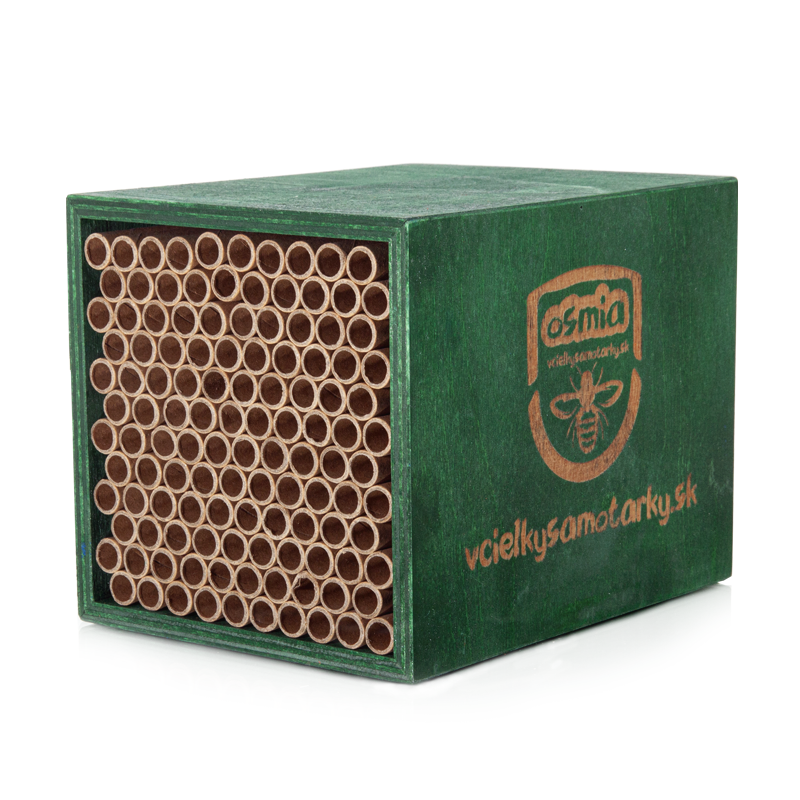 Bee home S Clasic NPT