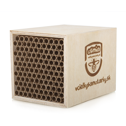 Bee home S Clasic NPT