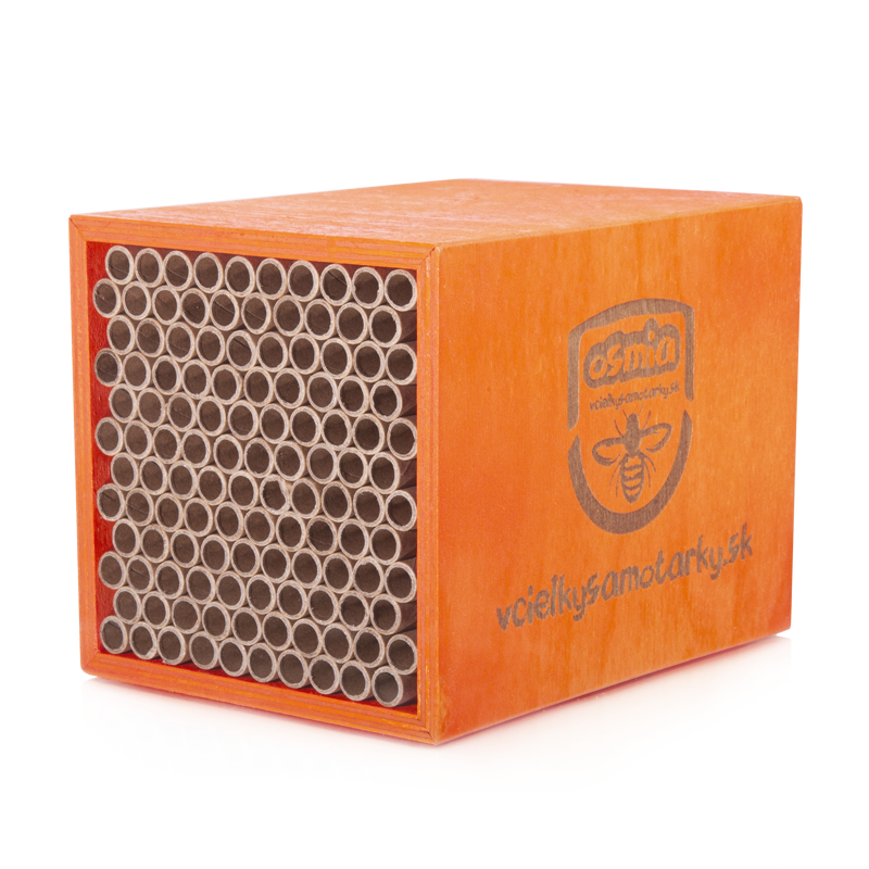 Bee home S Clasic NPT