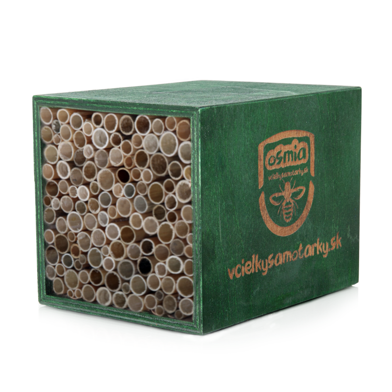 Bee home S Clasic NRT