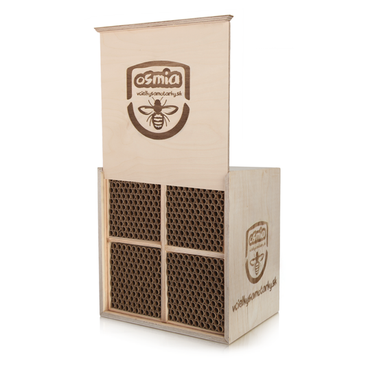 Bee home L Deluxe NPT