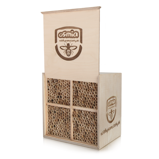 Bee home L Deluxe NRT