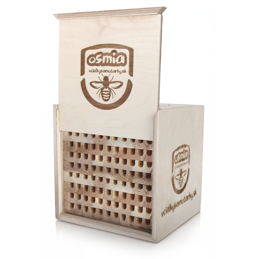 Bee home M Deluxe NWB