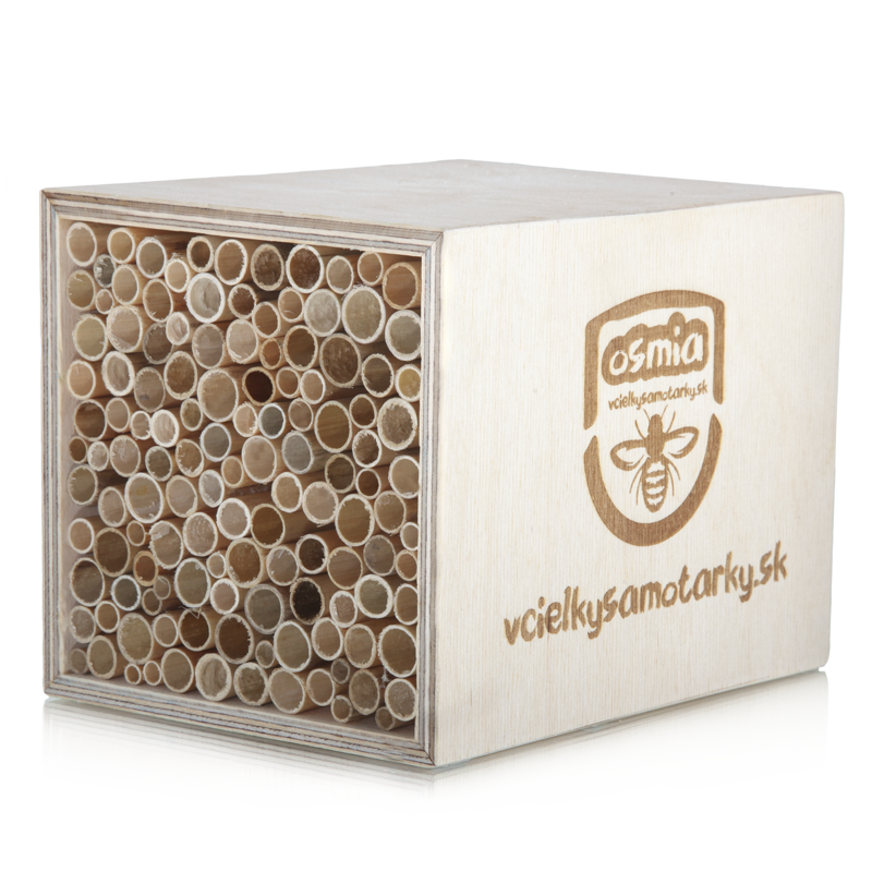 Bee home S Clasic NRT