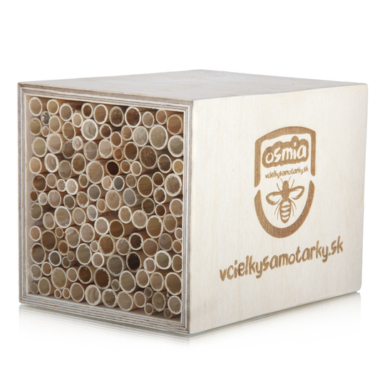 Bee home S Clasic NRT