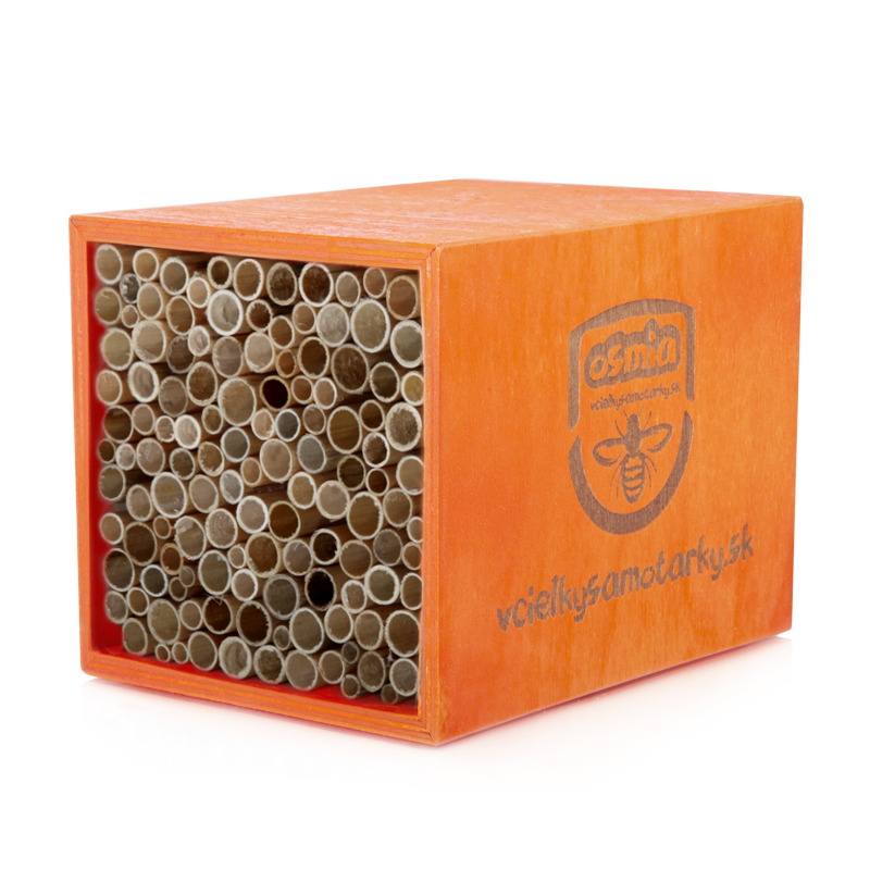 Bee home S Clasic NRT