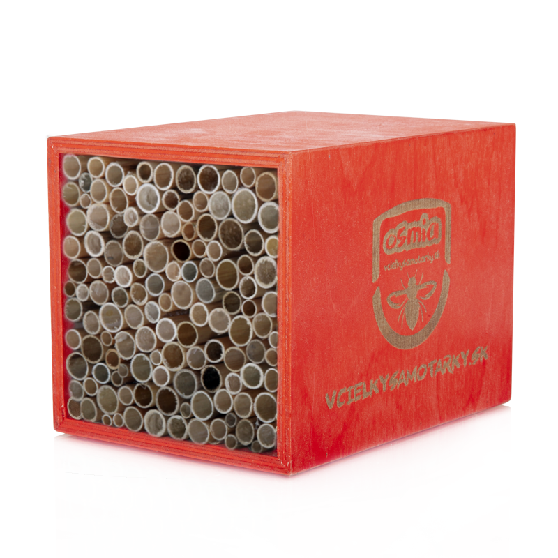 Bee home S Clasic NRT